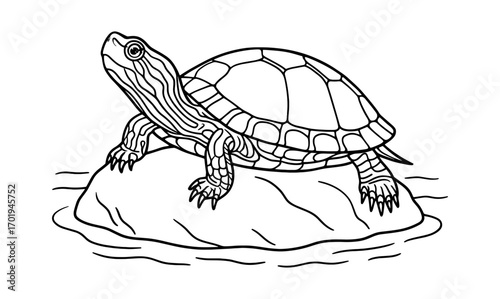 Painted turtle outline for coloring and design projects