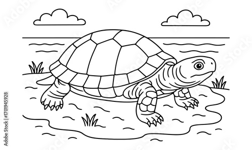 Terrapin coloring page for kids - fun and engaging turtle design for creative activity