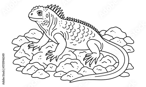 Marine iguana coloring page design for kids and educational activities