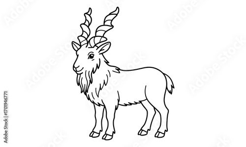 Markhor coloring page for kids and adults - simple and creative wildlife art