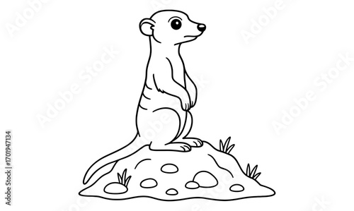 Meerkat sentry coloring page for children’s education and fun activity
