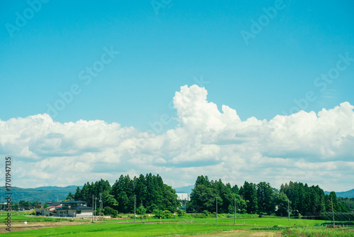 夏の青空と田んぼ　田舎の風景　入道雲