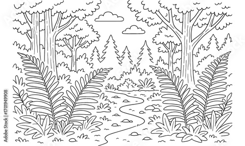 Temperate rainforest scene with ferns and pathway for nature illustration and coloring design