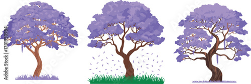 Beautiful purple jacaranda trees with lush foliage, blooming flowers, and natural grass, perfect for nature, garden, and landscape illustrations.