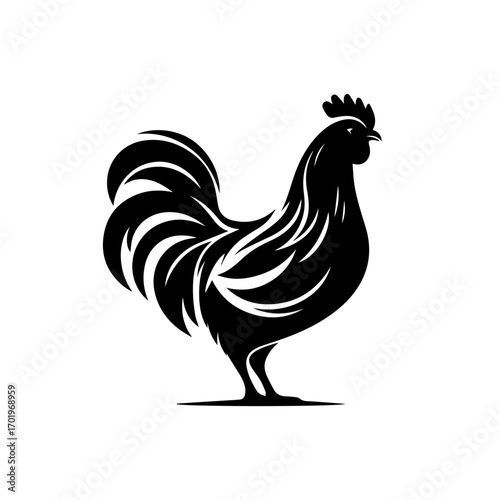 Colorful Hen Vector Illustration – Countryside Farm Bird