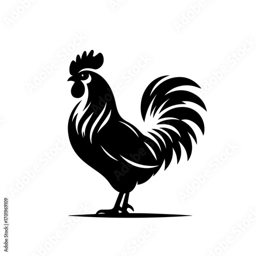 Colorful Hen Vector Illustration – Rural Farm Bird Design