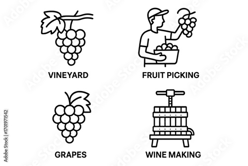 Grape harvest and wine making outline icon set. Vineyard, fruit picking, and grape press vector line icons. Agriculture, farming, and viticulture symbols collection.
