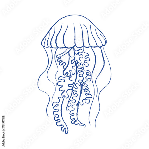 Minimalistic jellyfish drawing in simple continuous line. Vector outline illustration isolated on white for branding, packaging, fabric print, stationery, logo use