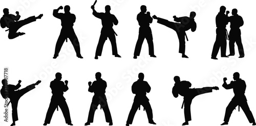 Martial arts silhouette poses, karate kick action, fighter training practice, combat sports illustration, self defense vector design, athlete movement artwork