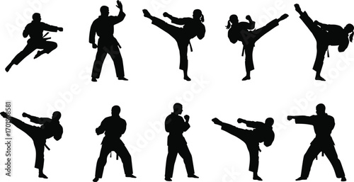 Martial arts silhouette poses, karate kick and punch action, fighter training vector, combat sports illustration, self defense design, athlete movement artwork