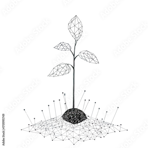 Polygonal low poly vector illustration of seedling plant with four leaves growing from soil made of interconnected thin lines and dots in minimalist black outline style on white background