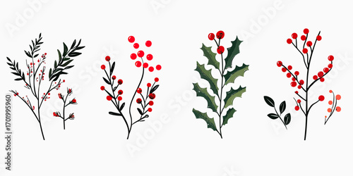 Hand drawn vintage style red berry branches and holly leaves with green spiky foliage festive winter botanical floral elements vector illustration set in flat minimalist design