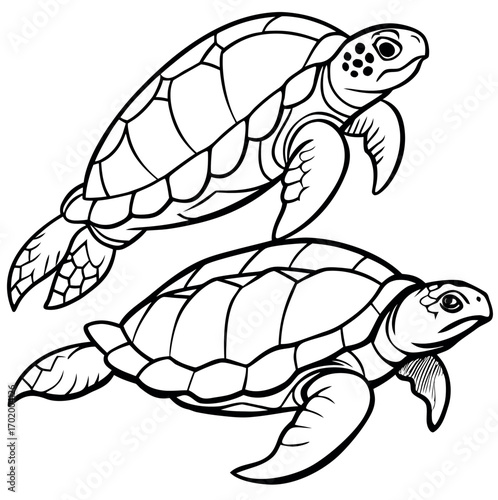 Black and white line art of sea turtles swimming gracefully