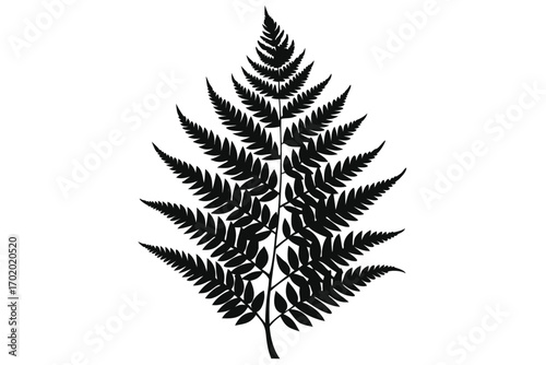 Silhouette of a Single Fern Leaf with Detailed Fronds and Stem Graphic