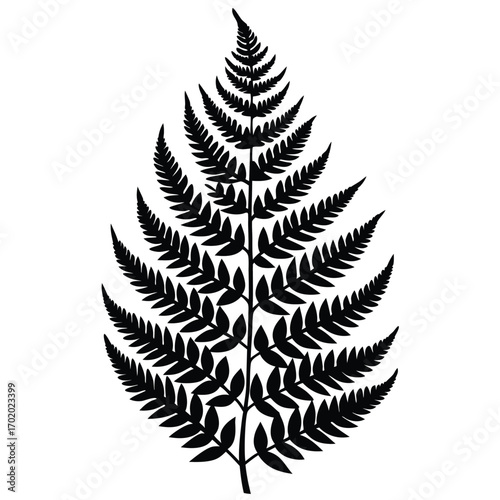 Silhouette of a Fern Leaf Featuring Pinnately Compound Blades in Black Color