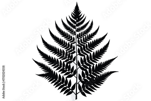 Symmetrical Black Fern Leaf Illustration Detailed Botanical Silhouette of a Fern Plant