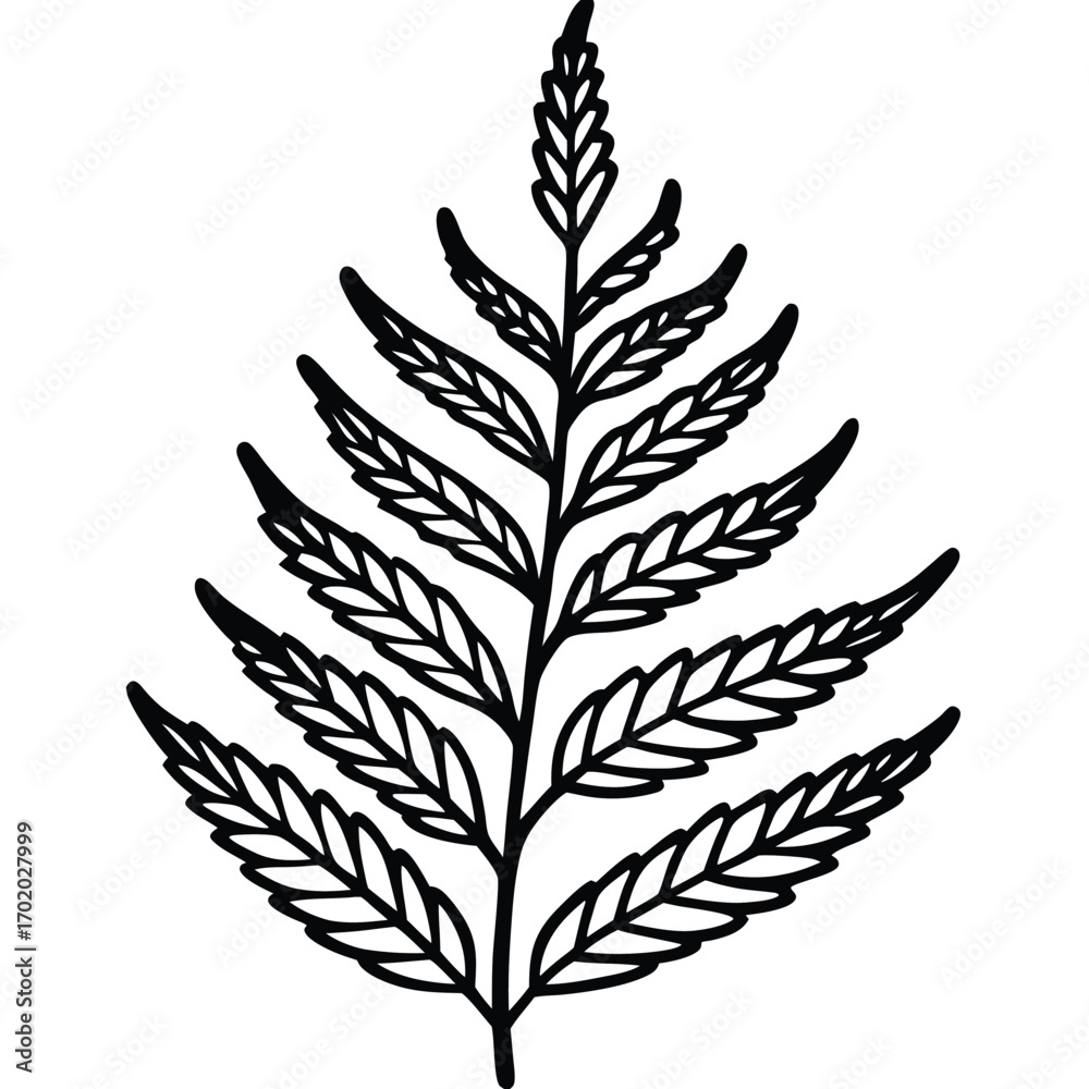 Obraz premium Detailed black outline illustration of a fern leaf with delicate, triangular leaflets
