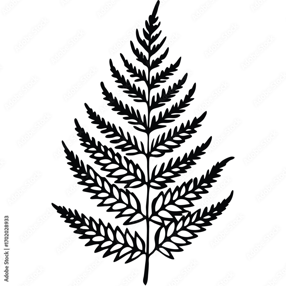 Naklejka premium Detailed black fern frond Intricate vector botanical illustration, minimalistic design element