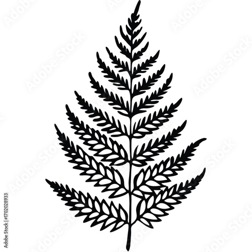 Detailed black fern frond Intricate vector botanical illustration, minimalistic design element