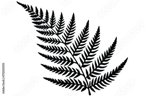 Single Fern Frond Black Silhouette, Botanical Illustration, Nature Design Element Isolated