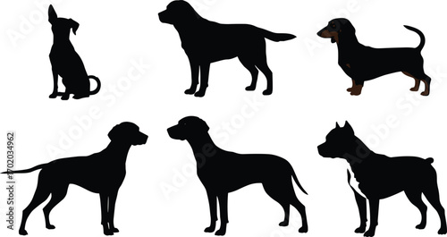 Vector dog illustrations, black and colored dog silhouettes, pet breed clipart collection, domestic dog artwork, animal design elements, isolated set