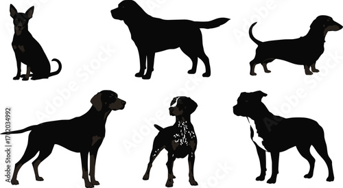 Vector dog illustrations, black and colored dog silhouettes, pet breed clipart collection, domestic dog artwork, animal design elements, isolated set