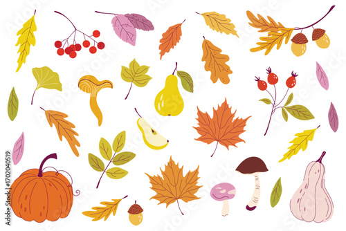 Autumn nature plants set. Fall harvest elements including pumpkins, leaves, berries, forest mushrooms. Clipart for cozy Autumn designs. Hand drawn vector illustrations.