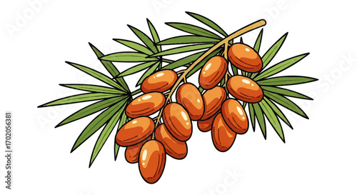 A cluster of ripe, orange sea buckthorn berries on a branch with green leaves.