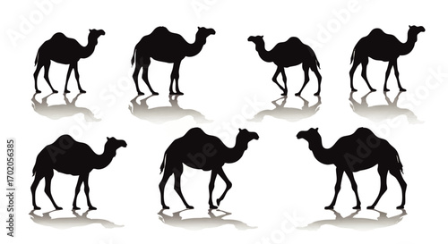 A collection of black dromedary camel silhouettes in walking and standing poses with reflections.