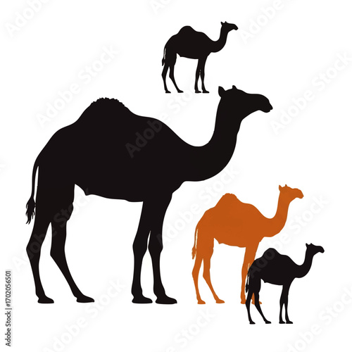 A collection of four dromedary camel silhouettes in black and orange, standing in profile view.