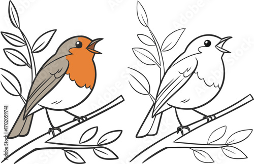 Cartoon robin bird perched on a branch with leaves and a line art version illustration