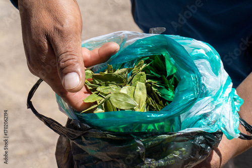 A Bolivian man shows his bag of dried coca leaves, a plant often chewed by Andean communities to alleviate altitude sickness.