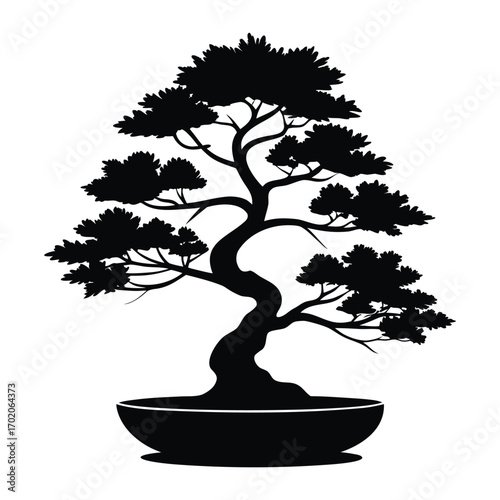Silhouette of a twisted bonsai tree in a pot