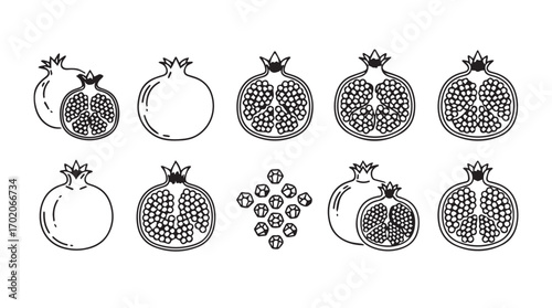 Collection of hand drawn pomegranate illustrations in a distinctive silhouette style