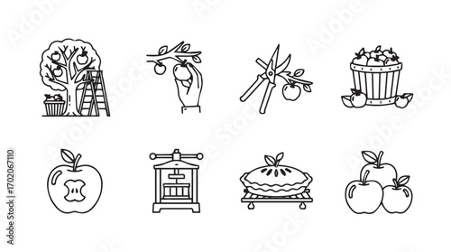 Collection of apple harvest and making cider icons in a distinctive silhouette style