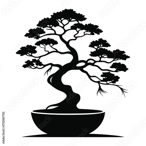 Elegant black silhouette of a twisted bonsai tree in a pot