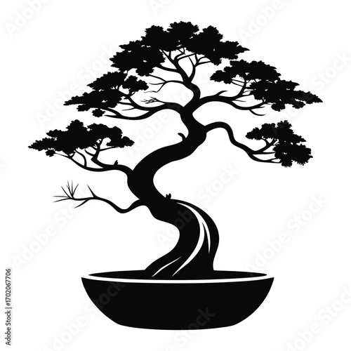 Silhouette of a traditional bonsai tree in a pot