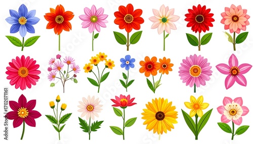 Vibrant collection of various colorful flowers, presented in detailed illustrations, showcasing diverse floral designs and bright hues against a simple white background.