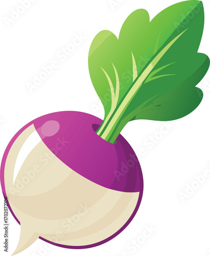 vector illustration of radish