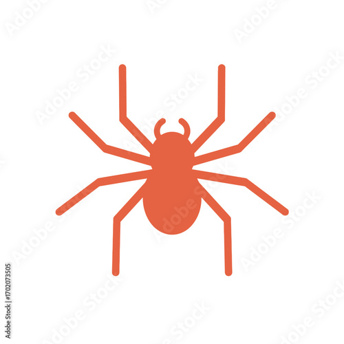 red spider isolated on white
