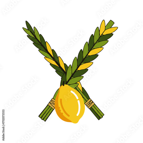 Jewish Sukkot Holiday Lulav and Etrog Symbols.