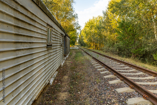 Wallpaper Mural Picturesque village of Văleni in southern Moldova captured in vibrant colors, showcasing traditional houses, rolling hills, and scenic rural landscapes of Eastern Europe. Torontodigital.ca