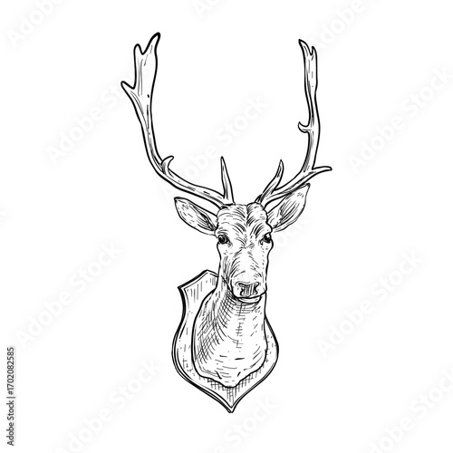 deer head wall decor vector hand drawn illustration