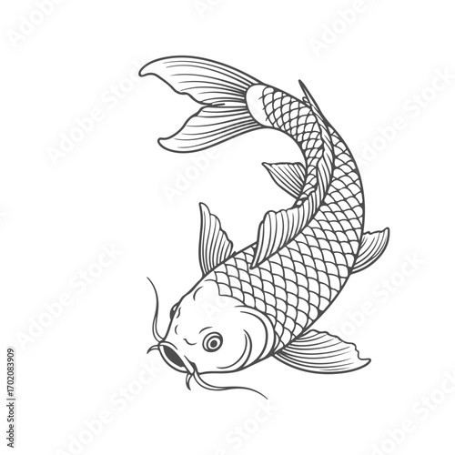 Graceful Monochrome Koi Fish Illustration Symbolizing Strength and Fortune