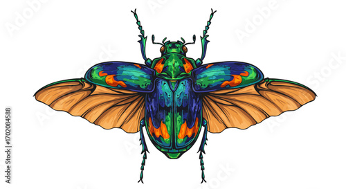 Colorful Jewel Beetle Illustration with Open Wings 1.