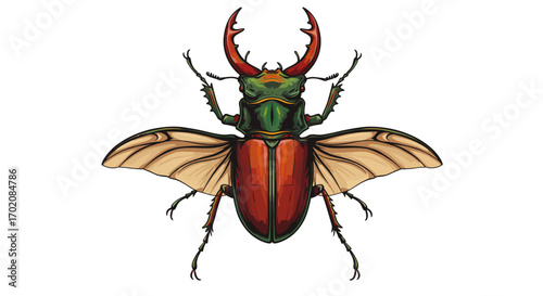 Colorful Stag Beetle Illustration with Open Wings and Antlers.
