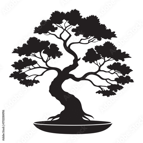 Silhouette of a twisted bonsai tree in a pot