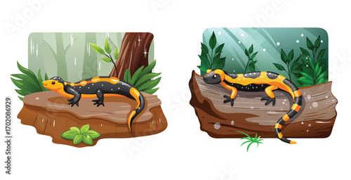 Vivid salamander resting on a glistening wet log vector art design illustration