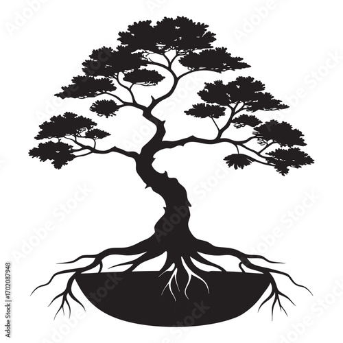 Silhouette of a meticulously shaped bonsai tree with prominent roots