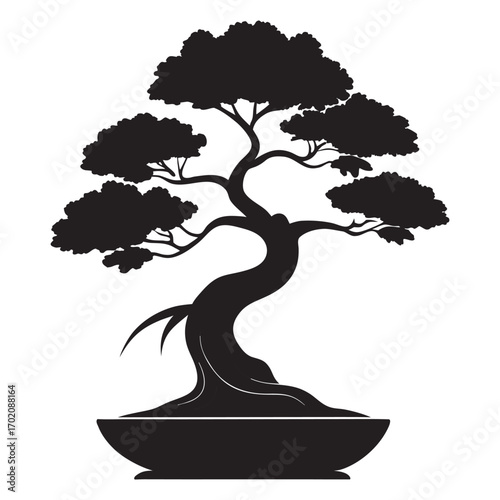 Silhouette of a twisted bonsai tree in a pot